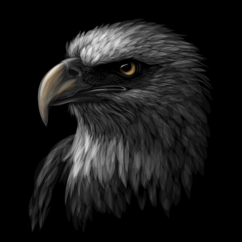 Сирадж Сираджов